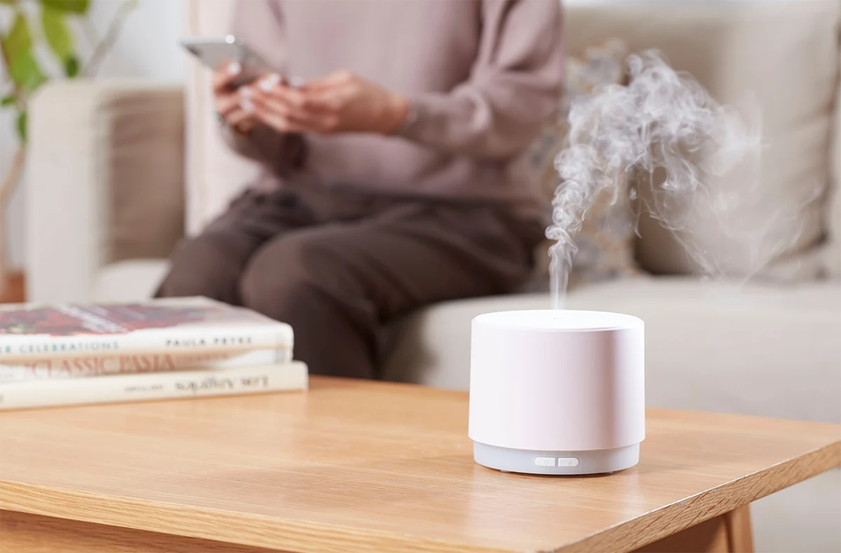 The Science of Humidifiers for Dry Winter Skin